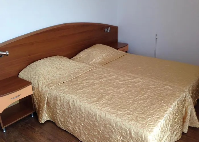 Family Hit キテン